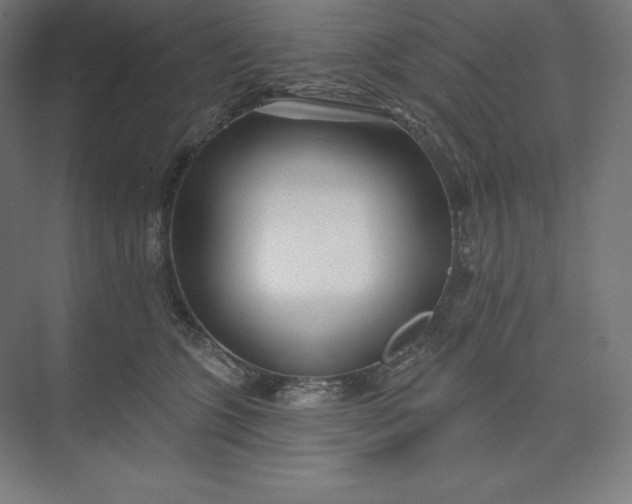X0000074020563200609061118