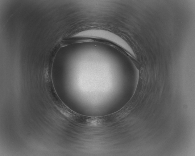 X0000074020564200609061118