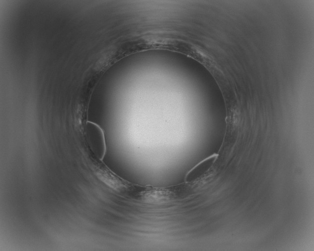 X0000074020567200609061118