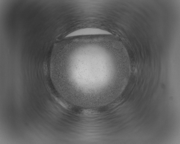 X0000074020568200609061118