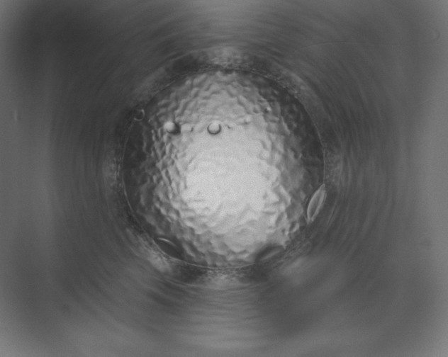 X0000074020569200609061118