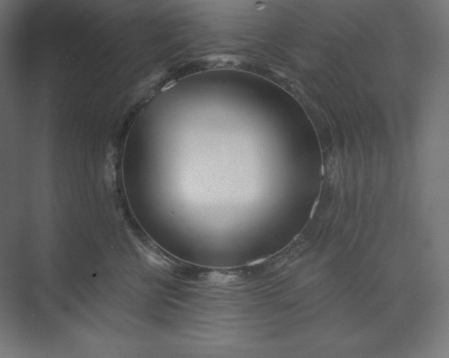 X0000074020570200609061118