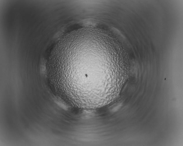 X0000074020573200609061119