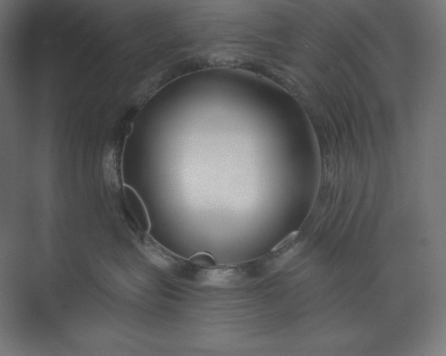 X0000074020575200609061119