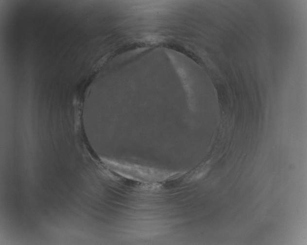 X0000074020576200609061119