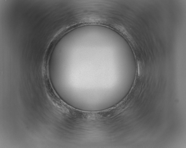 X0000074020579200609061118
