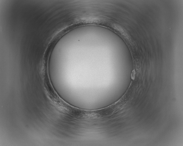 X0000074020583200609061118