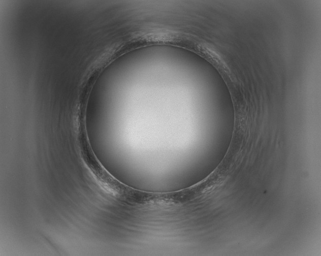 X0000074020586200609061118