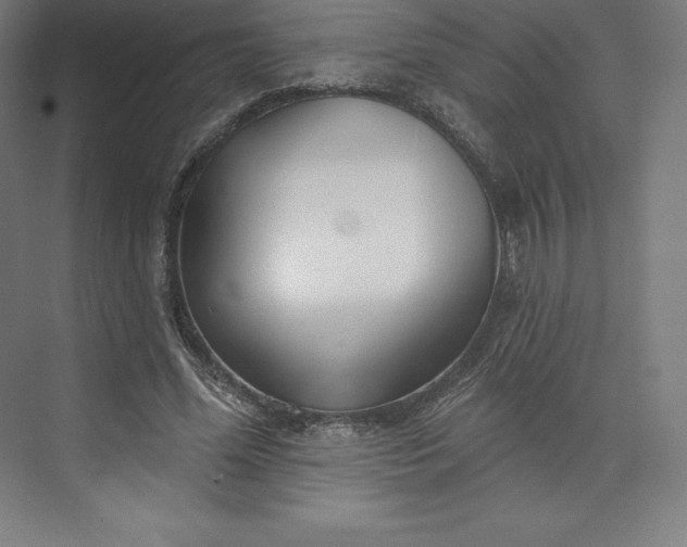 X0000074020588200609061118
