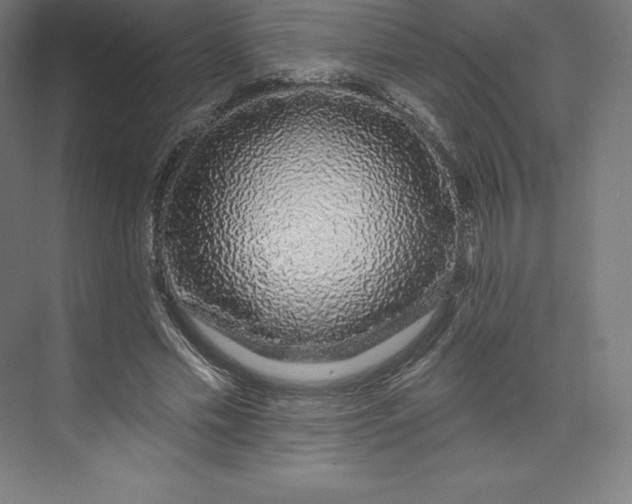 X0000074020589200609061118