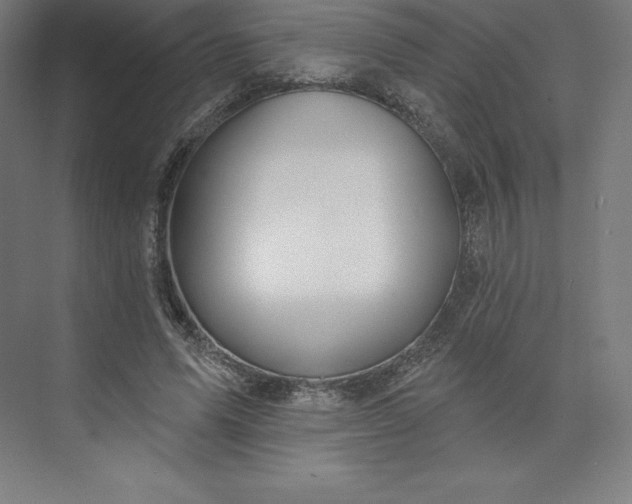 X0000074020591200609061118