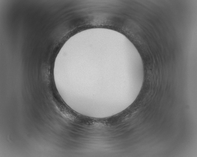 X0000074020592200609061118