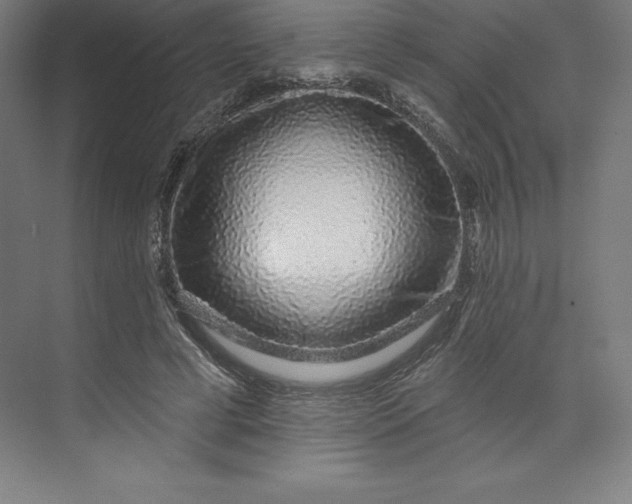X0000074020593200609061118