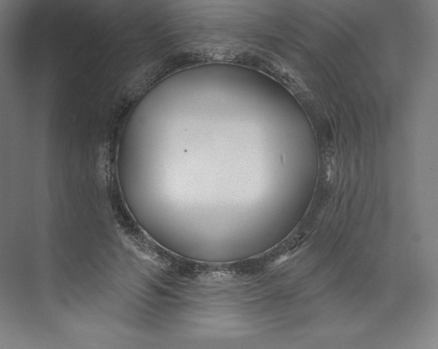 X0000074020594200609061117