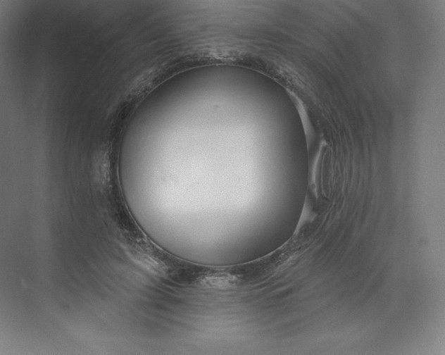 X0000074020595200609061117