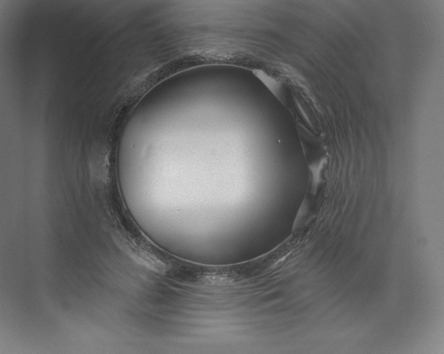 X0000074020596200609061117