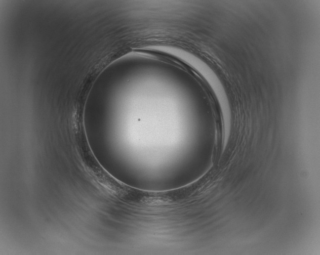 X0000074020597200609061117