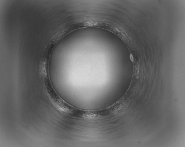 X0000074020598200609061117