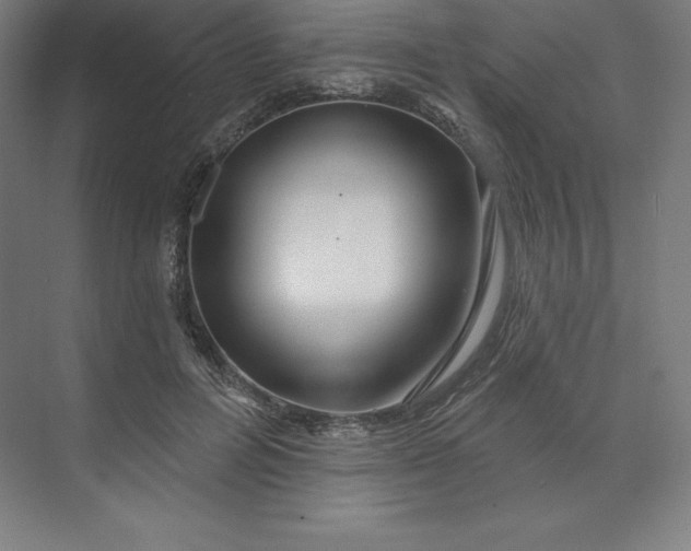 X0000074020600200609061117