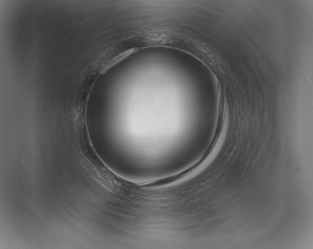 X0000074020601200609061117