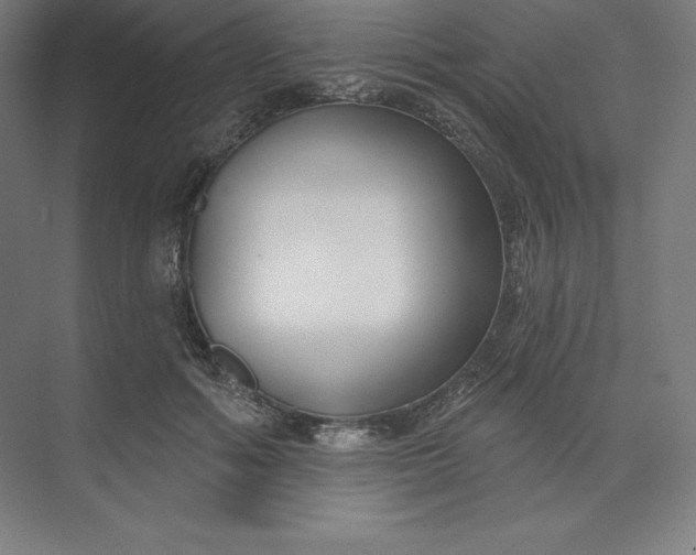 X0000074020602200609061117