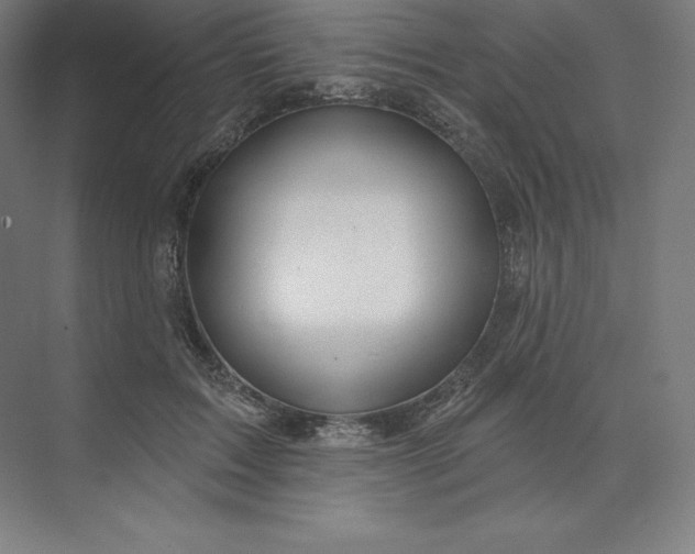 X0000074020603200609061117