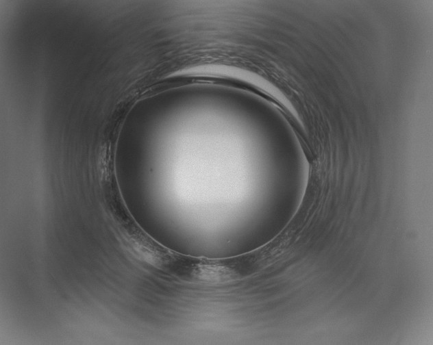 X0000074020605200609061117