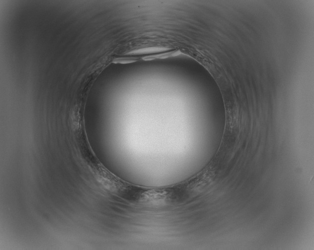 X0000074020606200609061117