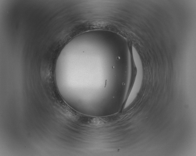 X0000074020608200609061117