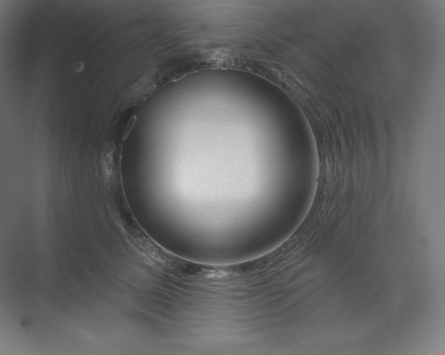 X0000074020611200609061117