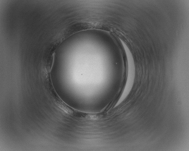 X0000074020613200609061117