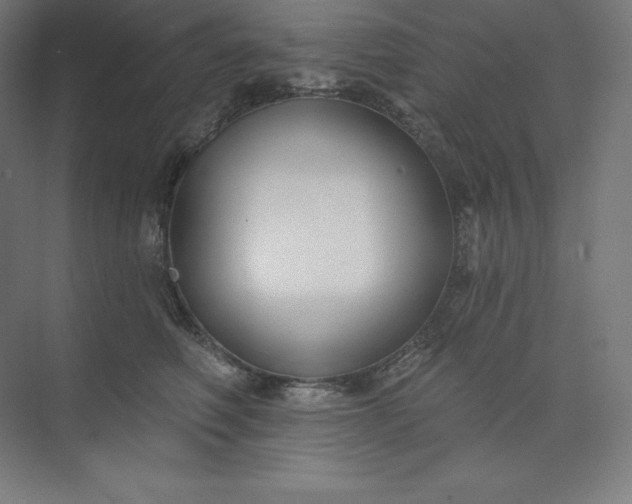 X0000074020614200609061117