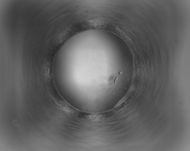 X0000074020615200609061117