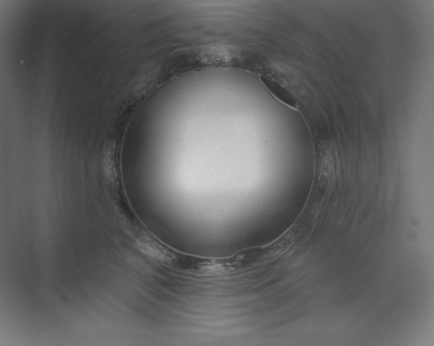 X0000074020616200609061117