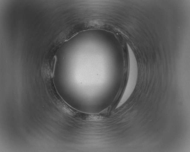X0000074020617200609061117