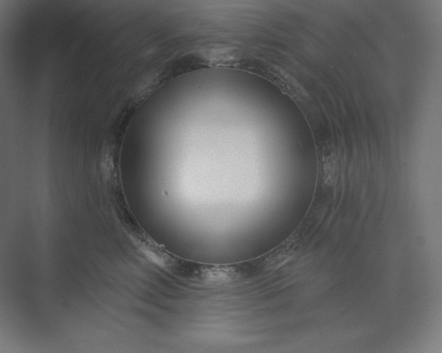 X0000074020618200609061117