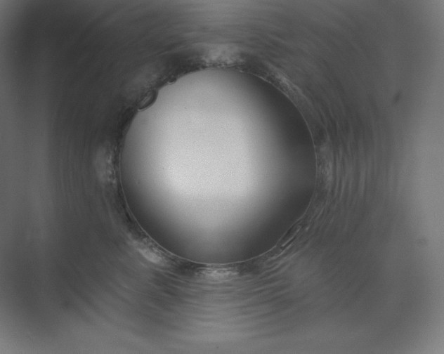 X0000074020619200609061117