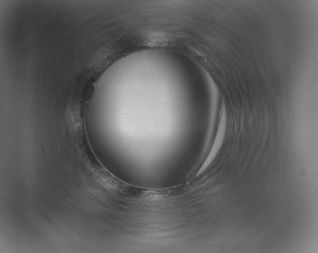 X0000074020620200609061117