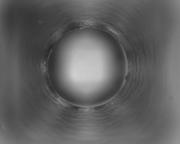 X0000074020621200609061117