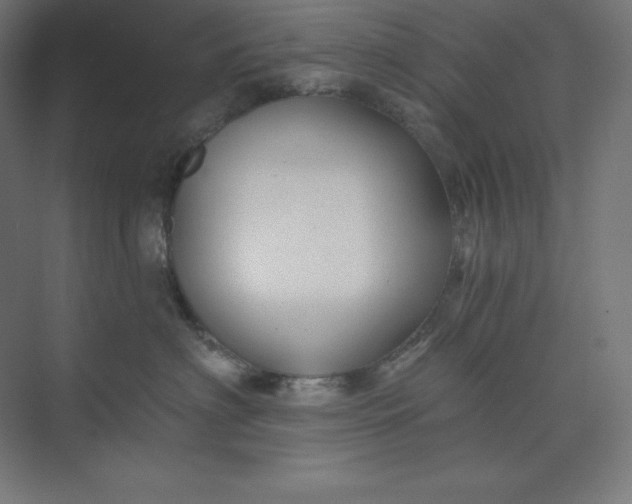 X0000074020622200609061117