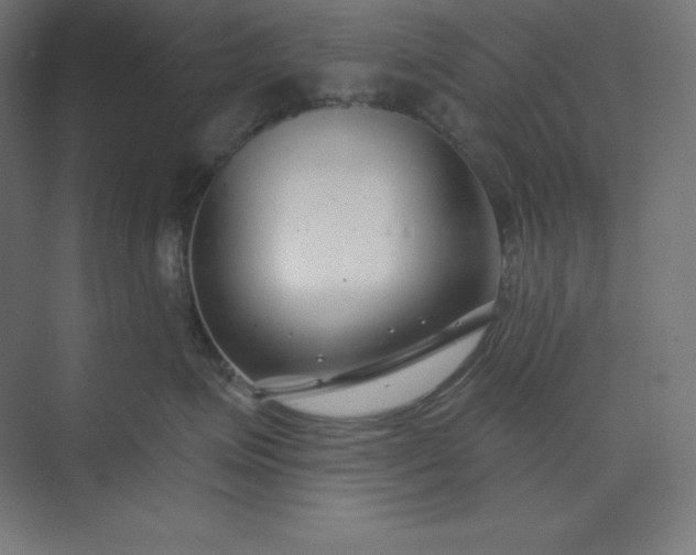 X0000074020623200609061117