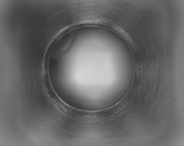 X0000074020628200609061116