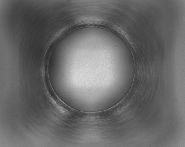 X0000074020629200609061116