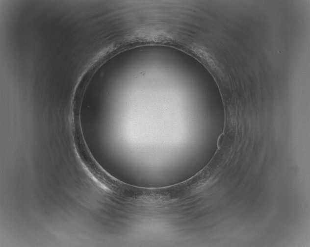 X0000074020630200609061116