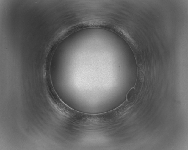 X0000074020631200609061116