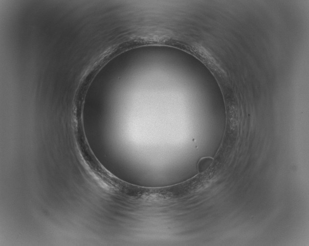 X0000074020634200609061116
