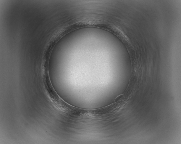 X0000074020635200609061116