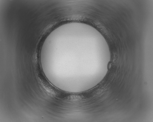 X0000074020636200609061116
