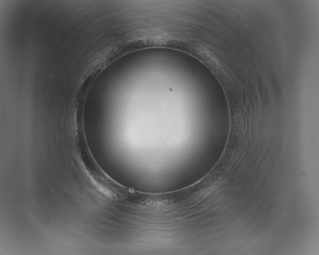 X0000074020638200609061116