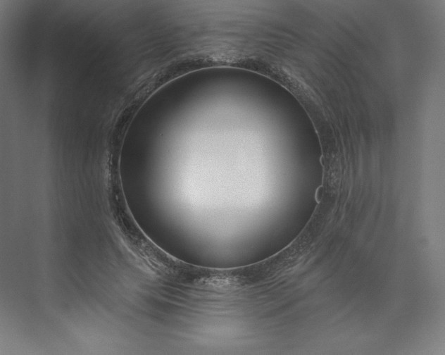 X0000074020639200609061116